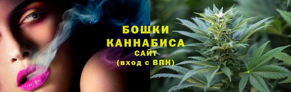 стафф Осинники