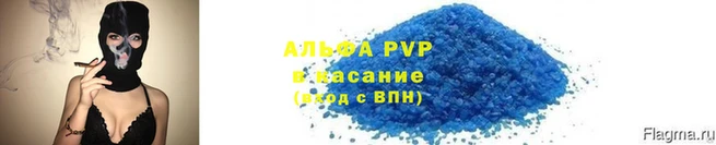 стафф Осинники