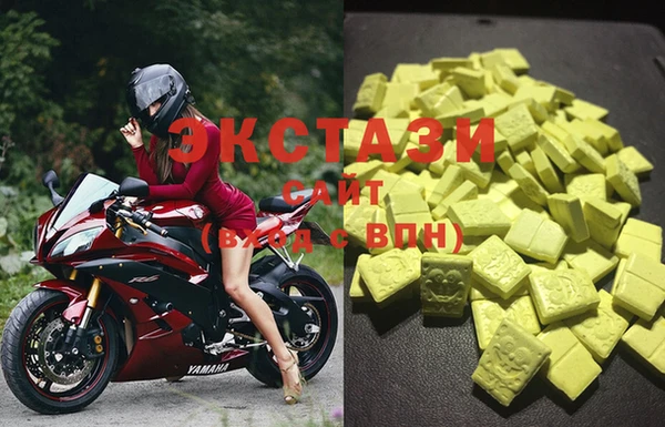 стафф Осинники