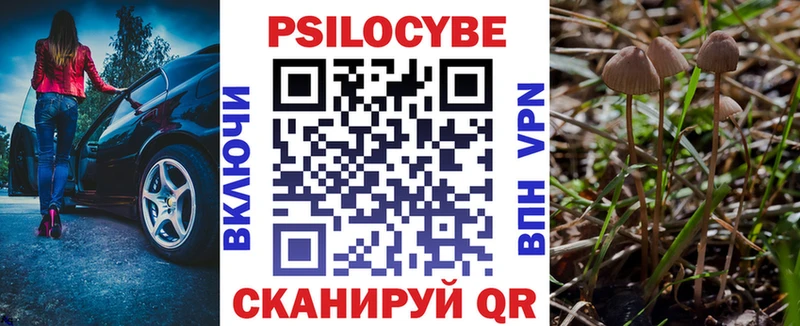 купить наркотик Болхов mega рабочий сайт Псилоцибиновые грибы Psilocybine cubensis
